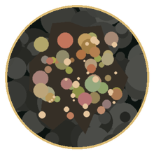 Heavy Mineral Sands mineral specimen